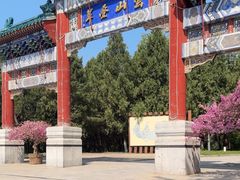 -云岗森林公园