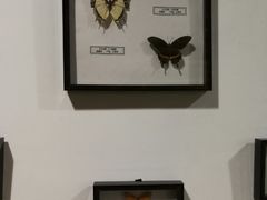 -红栌温泉山庄生态美食餐厅