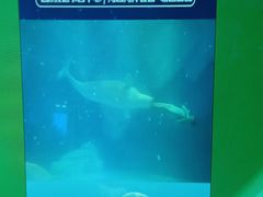 游乐设施-上海海昌海洋公园