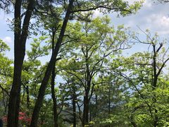 -罗田薄刀峰风景区