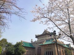 -武汉大学-樱园