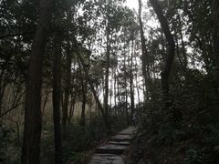 -青龙山国家森林公园