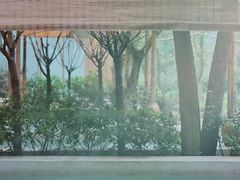 -乐领拈花溪·林涧食韵