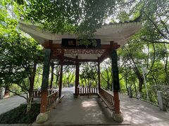 -龙头寺公园