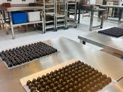 -歌斐颂巧克力小镇