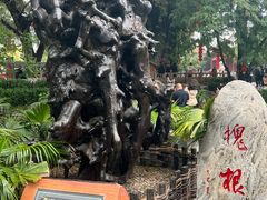 -大槐树寻根祭祖园