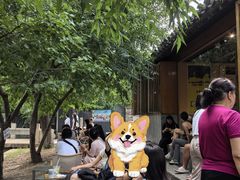 -春风习习