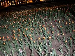 -长春公园(普阳街道)