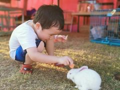 -季高兔窝窝亲子园(上海薰衣草公园店)