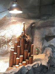 -Zoolung Zoolung动物主题公园(海信广场店)