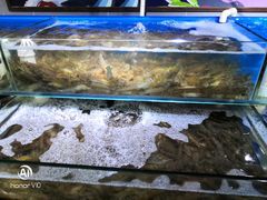 -聚宝隆购物中心(新昌街店)