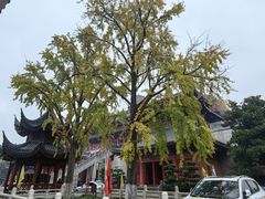 -上海东林寺(金山区)