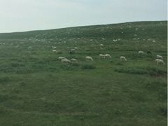 iphone_upload_pic-木兰围场
