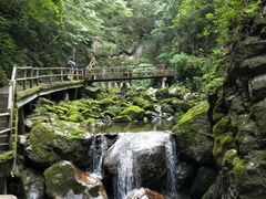 -牛背梁国家森林公园