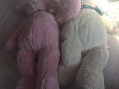 -PAWTOY爪e玩偶店(天兴罗斯福店)