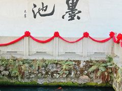 -墨池公园