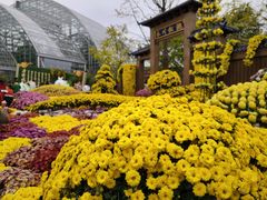 -南山植物园