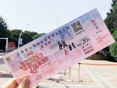 -顾村公园