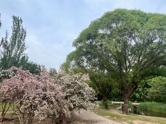 -泰丰公园