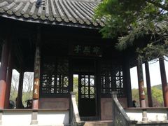 -西湖外事游船(花港观鱼码头)