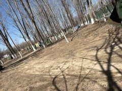 -亲兄弟真人CS团建拓展基地