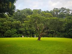 -深圳仙湖植物园