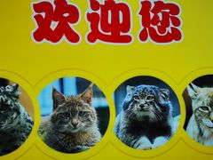 -青藏高原野生动物园
