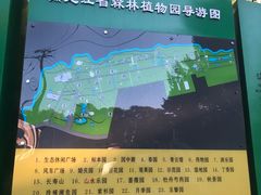 -黑龙江省森林植物园