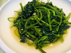 蒜泥空心菜-金稼园·金平湖农家菜