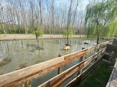 -溱湖国家湿地公园