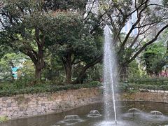 -九龙公园
