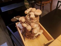 -大头椰·椰子鸡火锅(新梦店)