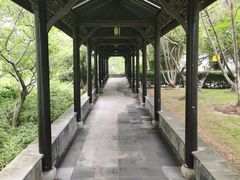 -红梅公园
