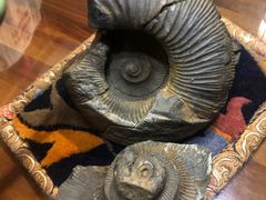 -吉祥圣雪藏餐