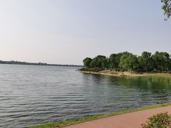 -丁香湖公园