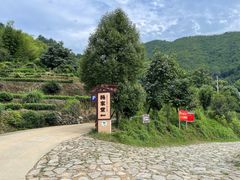 -杨家堂村