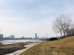 -灞河西岸滨河公园