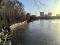 -迎泽公园