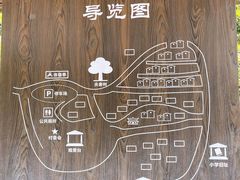 -杨家堂村