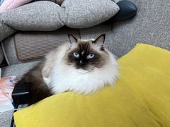 -银吉姆健身(恒隆馆)