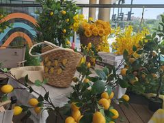 -闽海肴(北辰荟店)