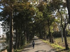 -上海长兴岛郊野公园