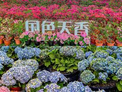 -盈香心动乐园