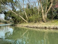 -西溪国家湿地公园