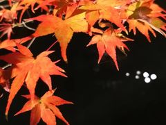 -醍醐寺