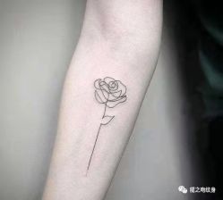 -龙之吻专业刺青·手工耳洞·纹身去色