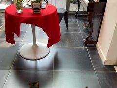 -EATALIA意塔利意式餐厅(鼓楼店)