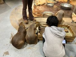 -Zoolung Zoolung动物主题公园(海信广场店)