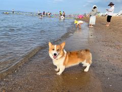 -那香海钻石沙滩浴场