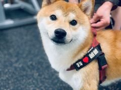 -YCHL Studios健身工作室(市二宫店)